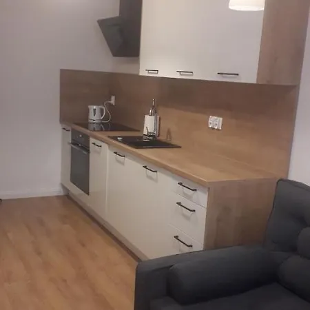Apartment Irena Stare Sw. Ducha
